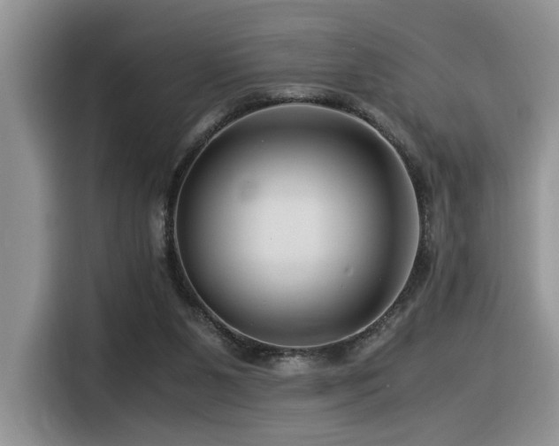 X0000116370111200912021201