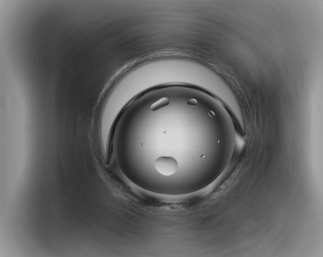 X0000116370112200912021201