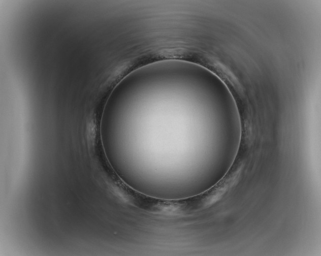 X0000116370113200912021201