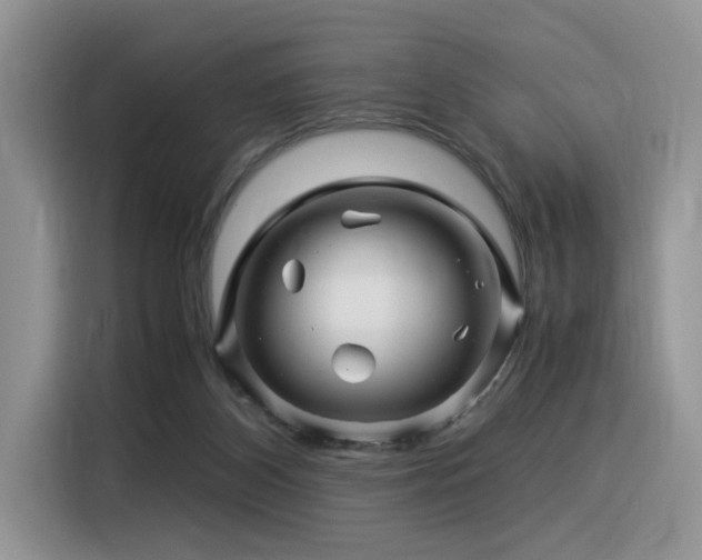 X0000116370116200912021201