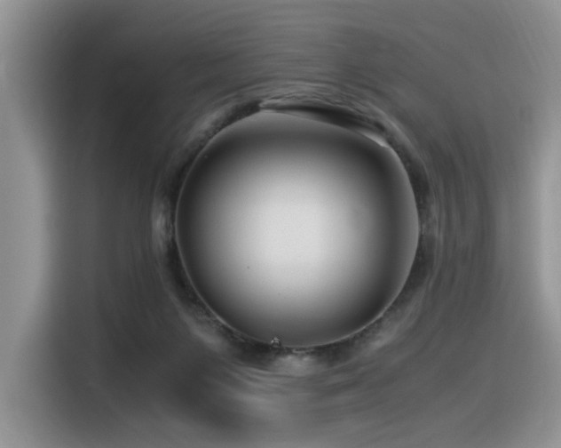 X0000116370119200912021201