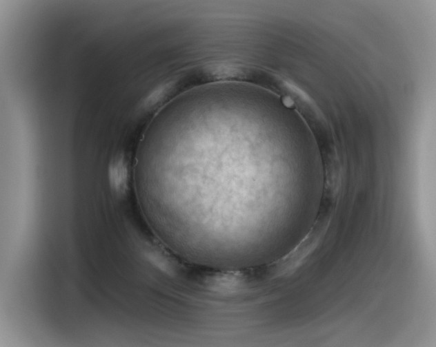X0000116370124200912021201
