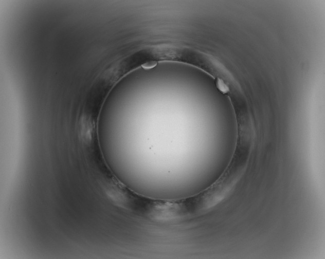 X0000116370125200912021201