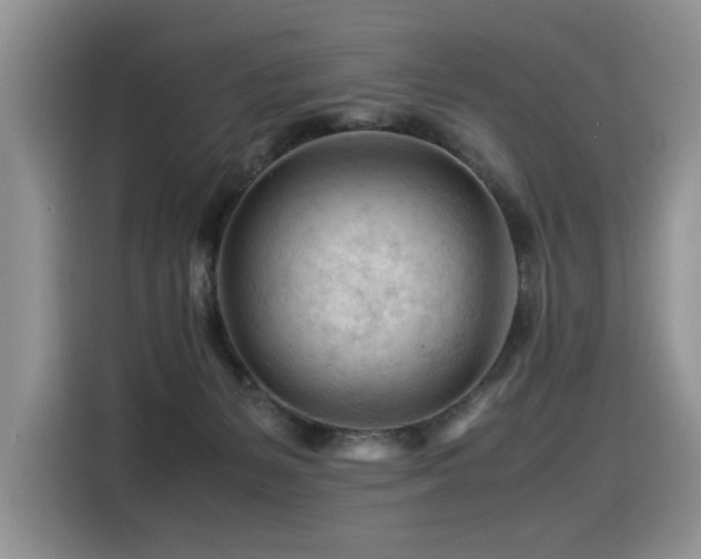 X0000116370127200912021201