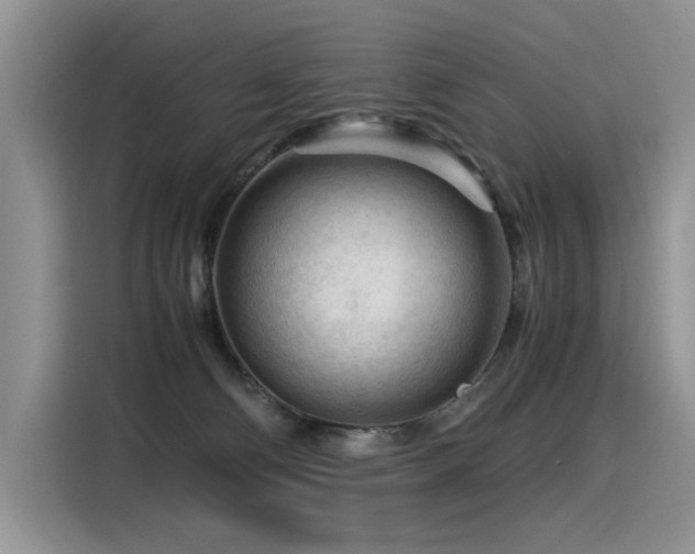 X0000116370130200912021201
