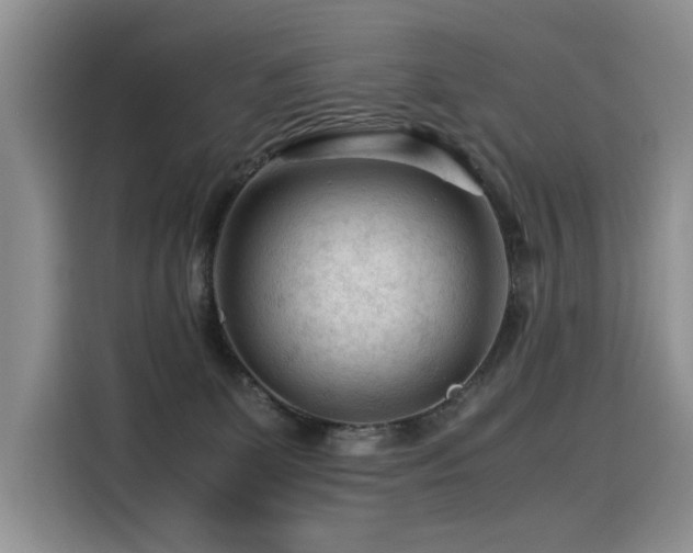 X0000116370131200912021201