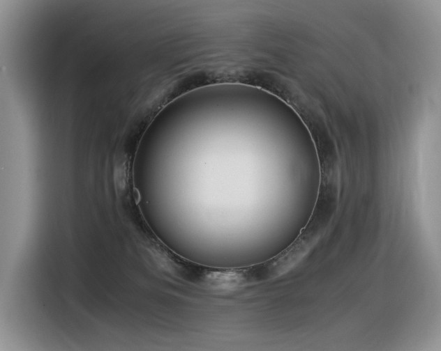 X0000116370133200912021201