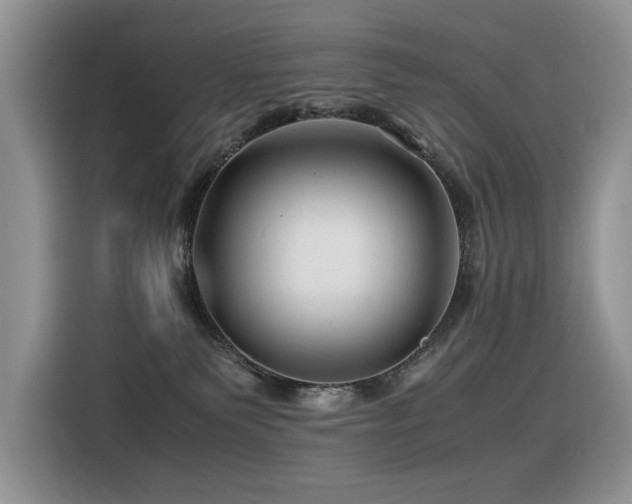 X0000116370135200912021201