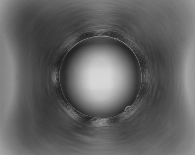 X0000116370138200912021201