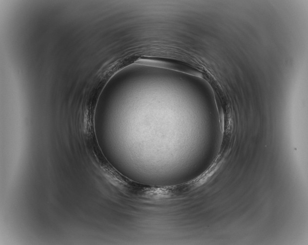 X0000116370140200912021201