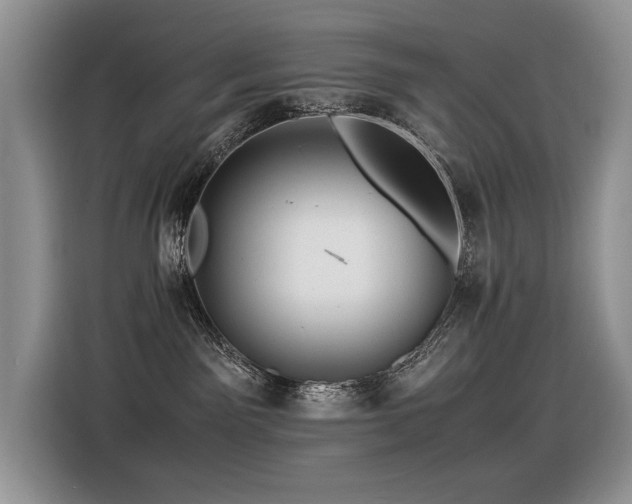 X0000116370141200912021201