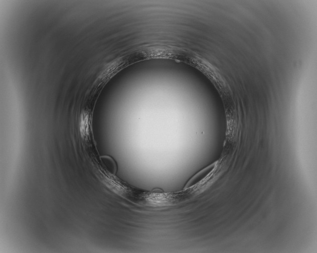 X0000116370142200912021201