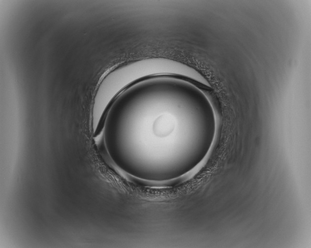 X0000116370144200912021201