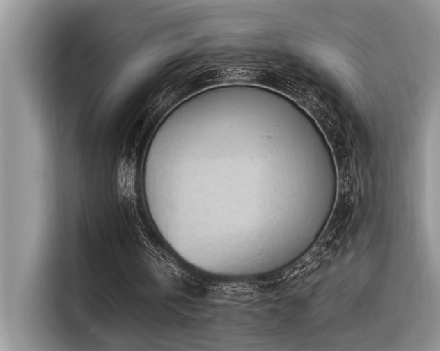 X0000116370146200912021200