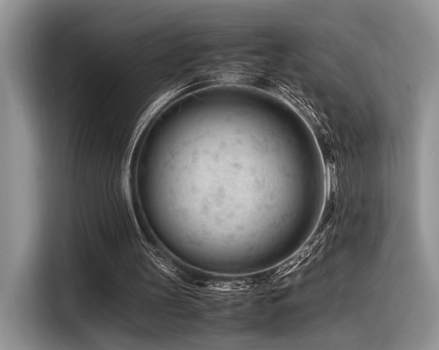 X0000116370147200912021200