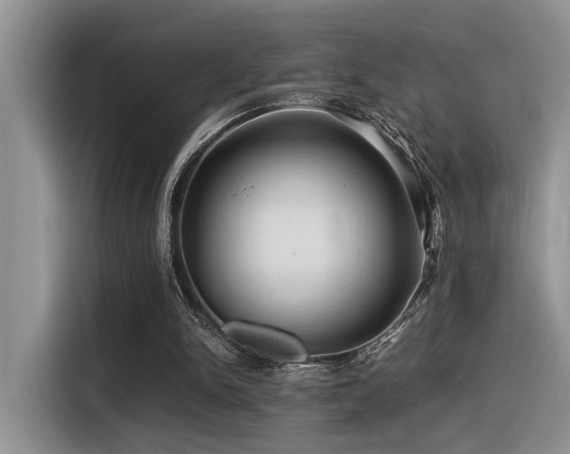 X0000116370150200912021200