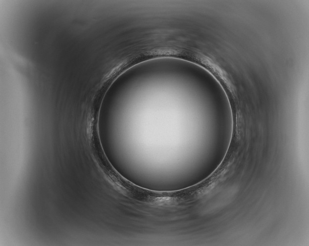 X0000116370153200912021200
