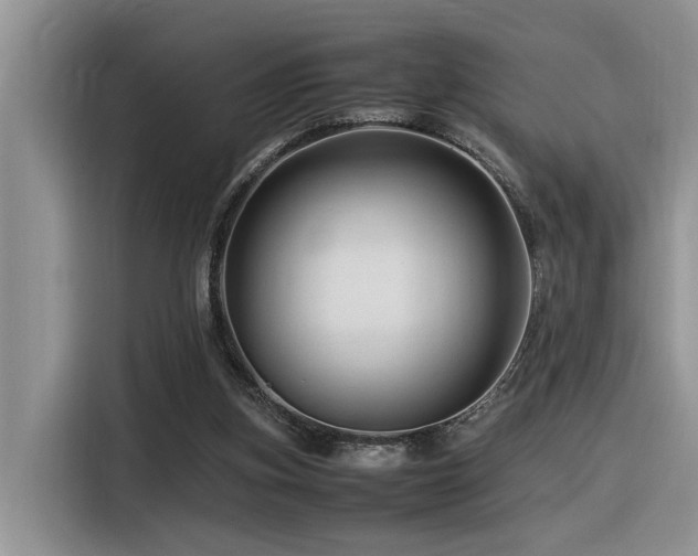 X0000116370155200912021200
