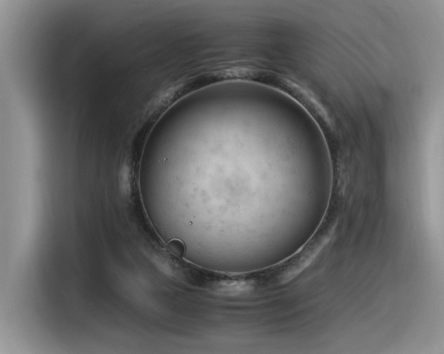 X0000116370161200912021200