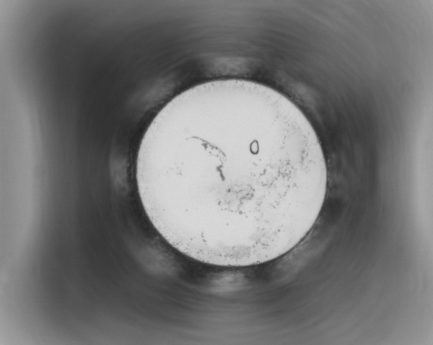 X0000116370162200912021200