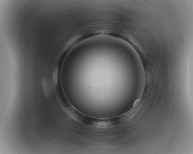 X0000116370163200912021200