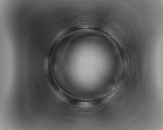 X0000116370167200912021200