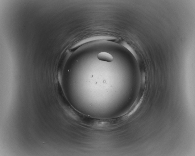 X0000116370174200912021201