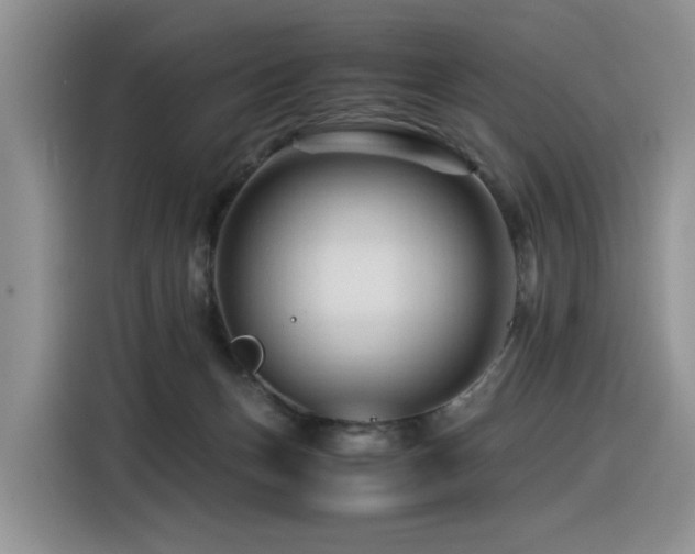 X0000116370175200912021201