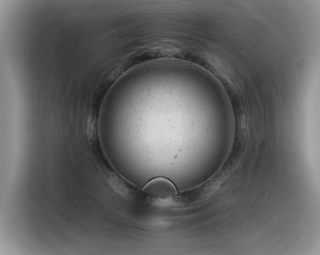 X0000116370177200912021201