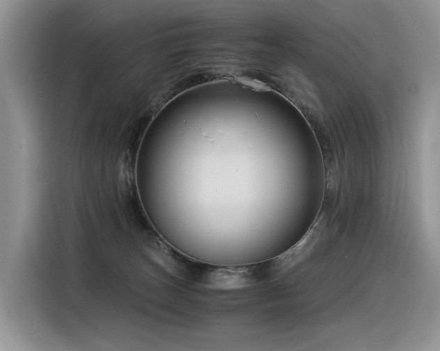 X0000116370179200912021201