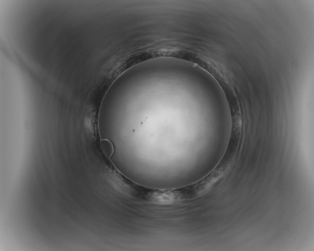 X0000116370181200912021201