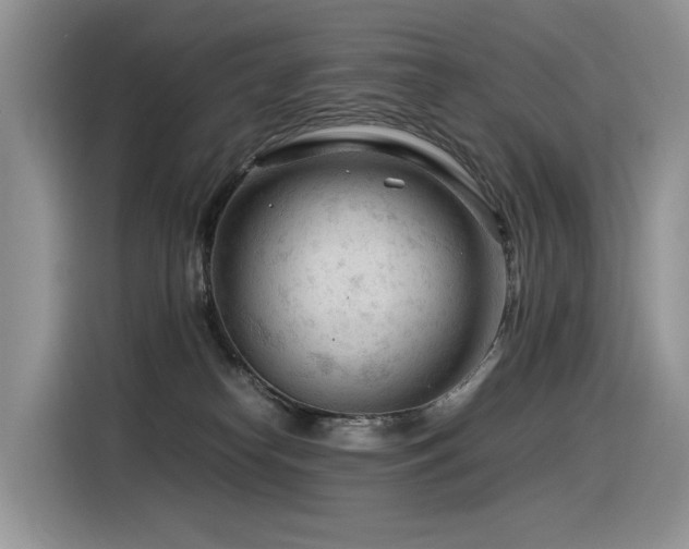 X0000116370182200912021201
