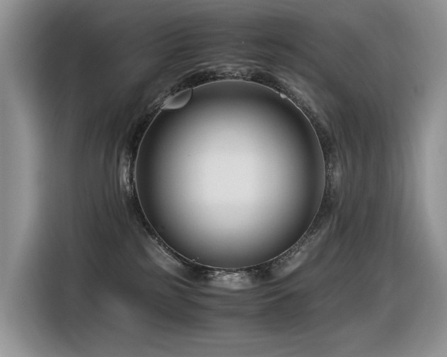 X0000116370185200912021201