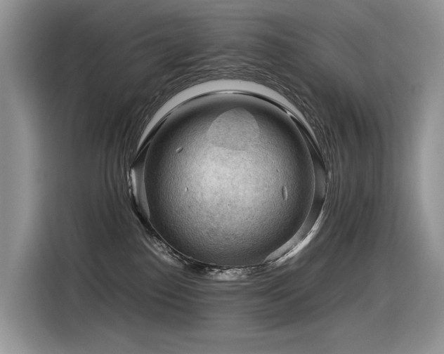 X0000116370186200912021201