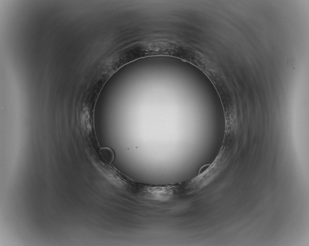 X0000116370187200912021201