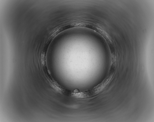 X0000116370189200912021201