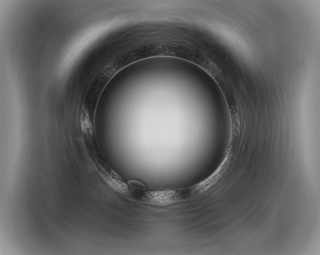 X0000116370191200912021201