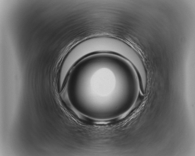 X0000116370193200912021200