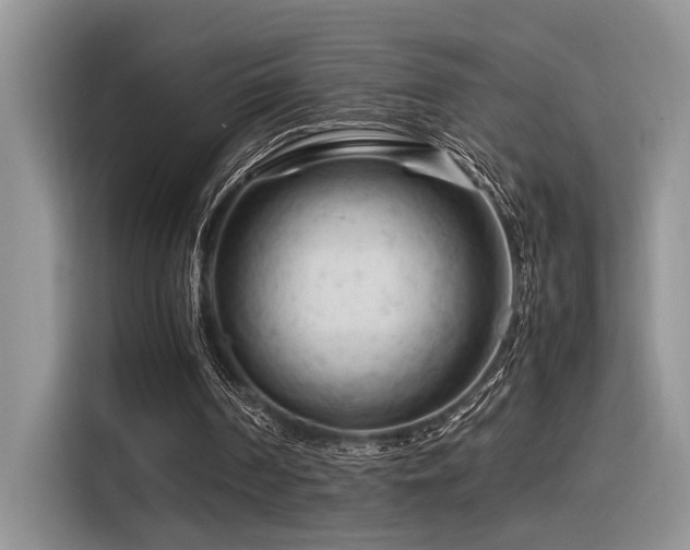 X0000116370194200912021200