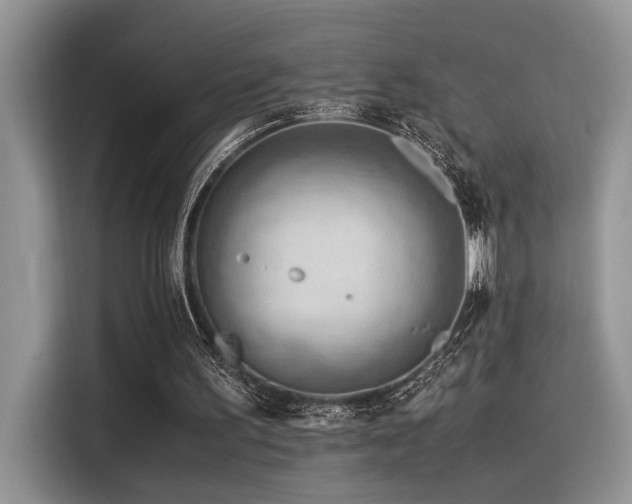 X0000116370195200912021200