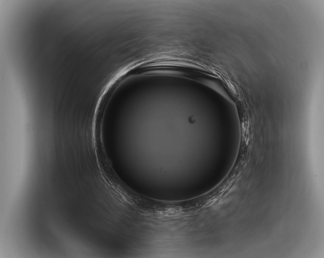 X0000116370196200912021200