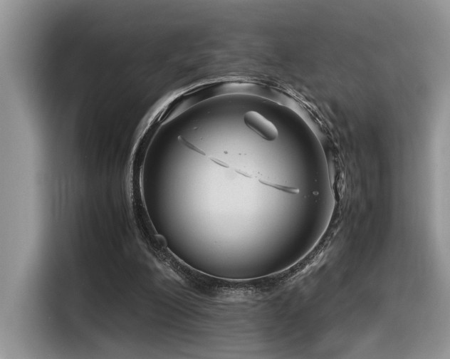 X0000116370200200912021200