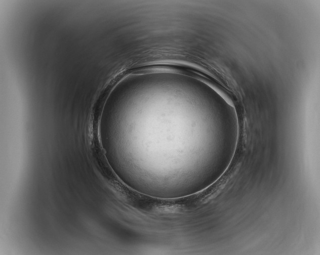 X0000116370202200912021200