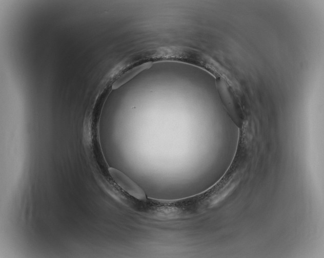 X0000116370203200912021200