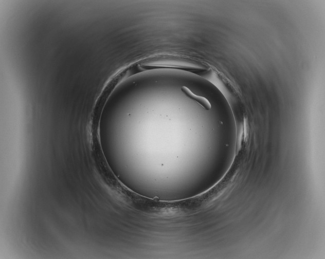 X0000116370204200912021200