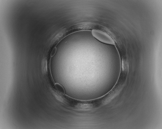 X0000116370205200912021200