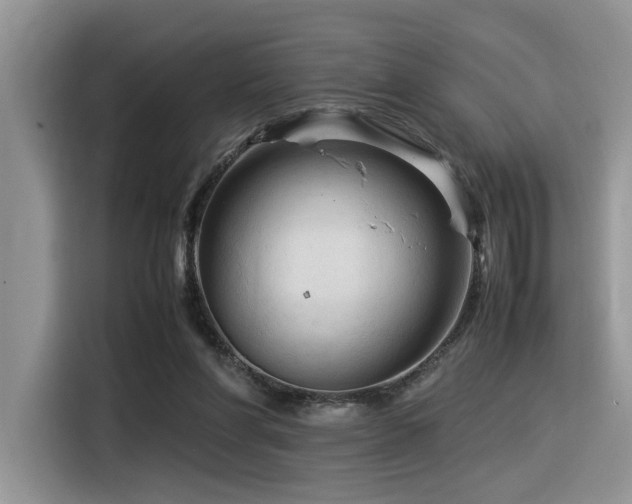 X0000116370206200912021200