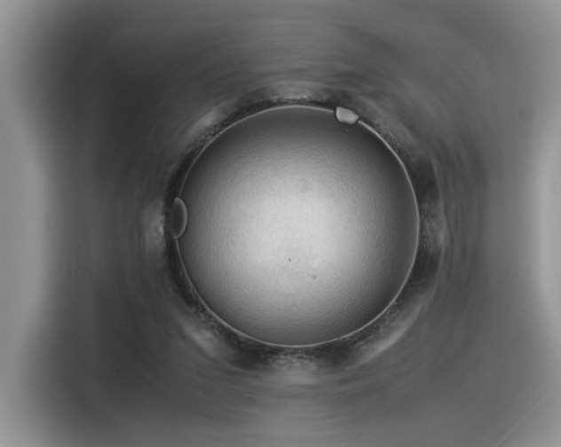 X0000116370207200912021200