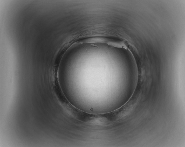 X0000116370210200912021200