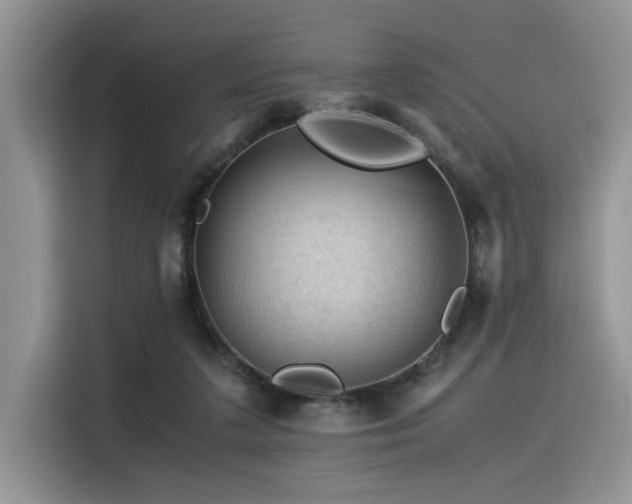 X0000116370211200912021200